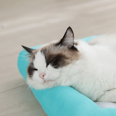 Pet Cooling Pad - The Savvy Pets