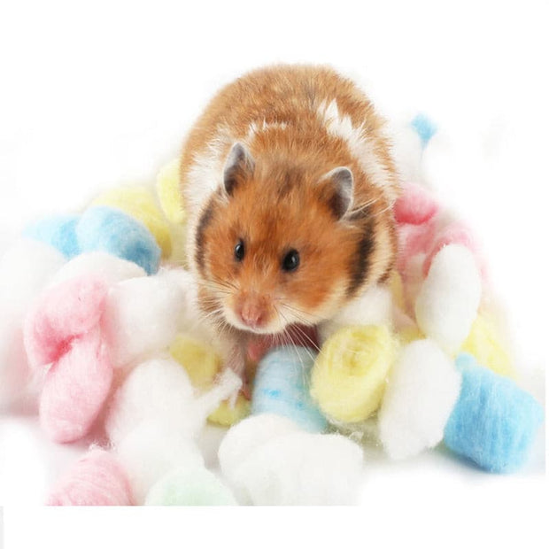 100 Pcs Hamster House Filler - The Savvy Pets