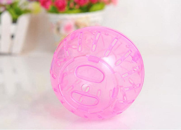 Durable Hamster Ball - The Savvy Pets